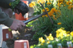 spring landscape maintenance checklist working on flower planter