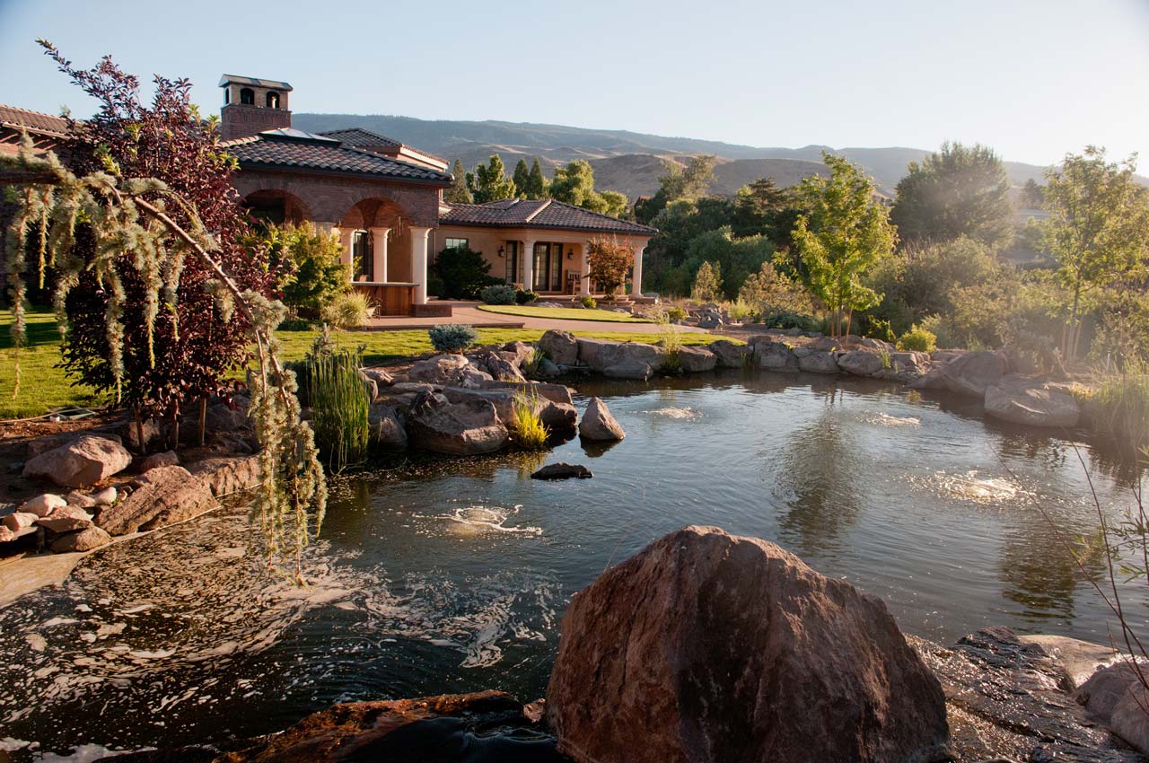 Backyard with Pond