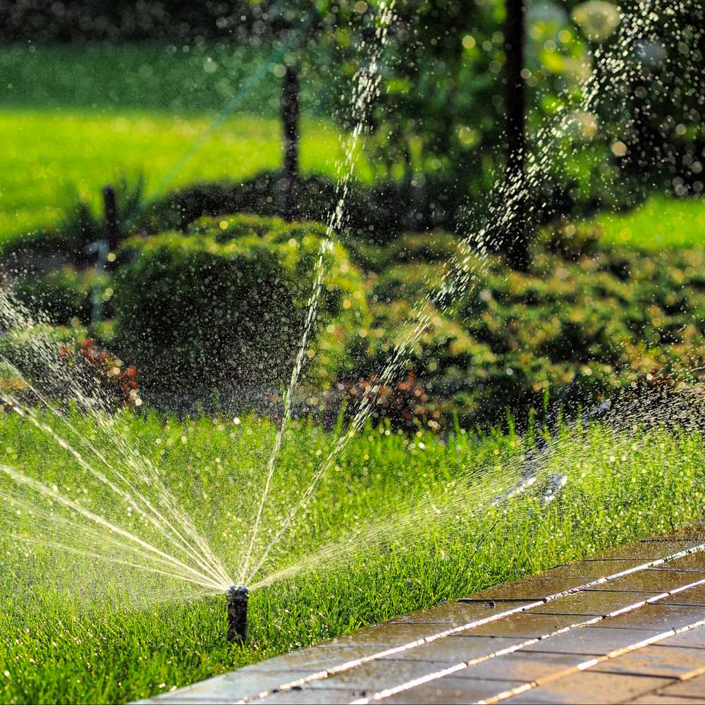 Seasonal Irrigation Reno Green Landscaping