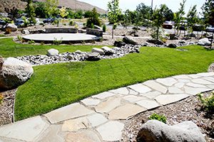 Commercial Landscape Installation