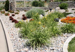 IV. Health Benefits of Energy-Efficient Landscaping