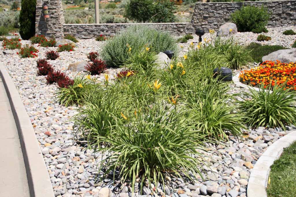 energy-efficient-benefits-in-landscaping-reno-green-landscaping