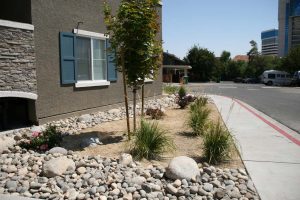 Apartment Complex Landscaping