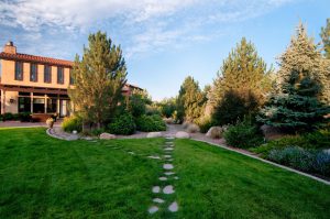 Residential Backyard Stone Path