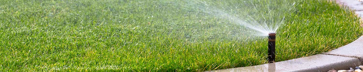 Reno Residential Landscaping Irrigation Services