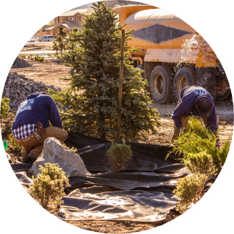 reno landscaping installation for commercial