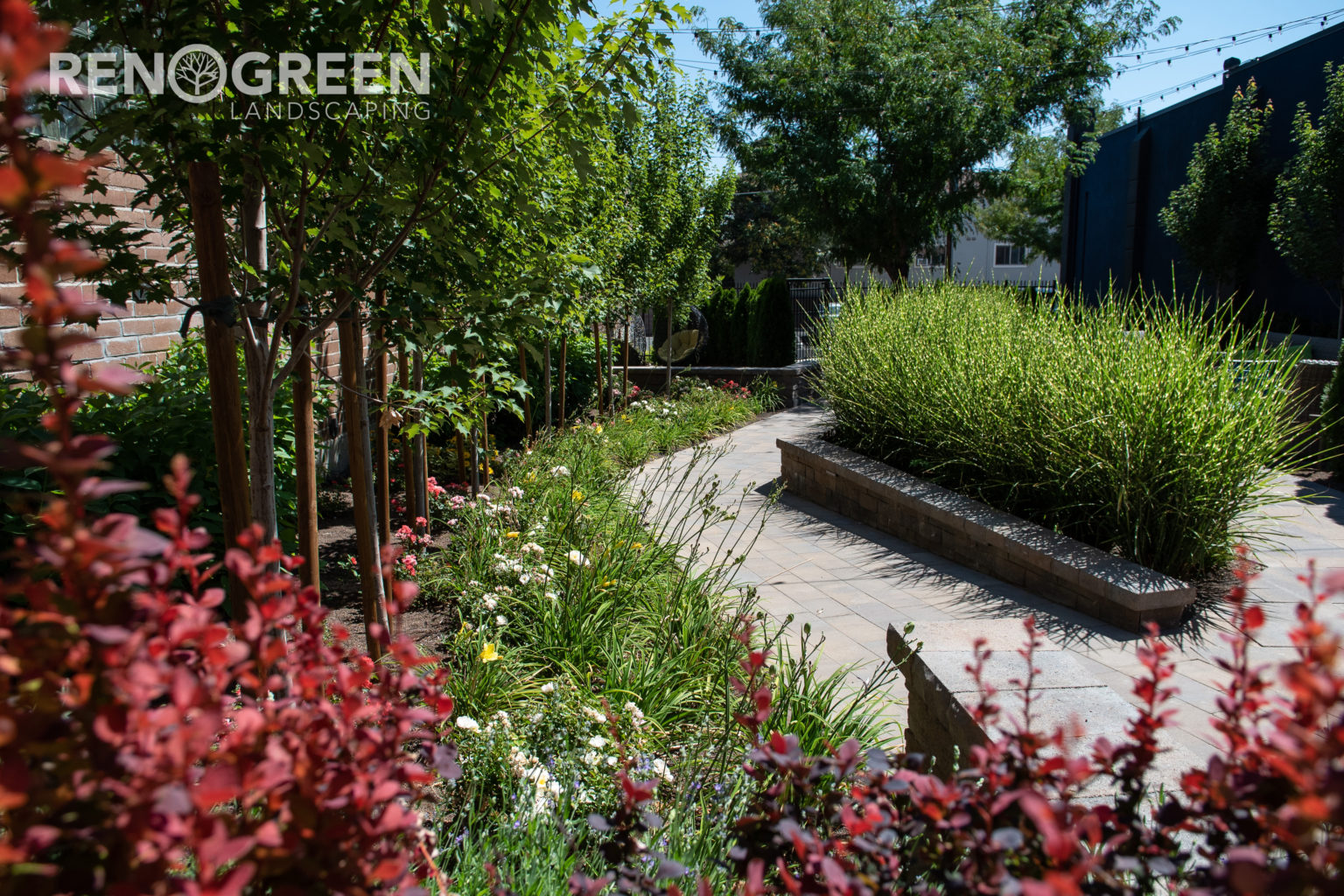 Landscape Near Me North Valleys Reno Green Landscaping