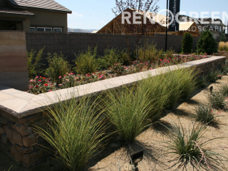 planter bed grasses