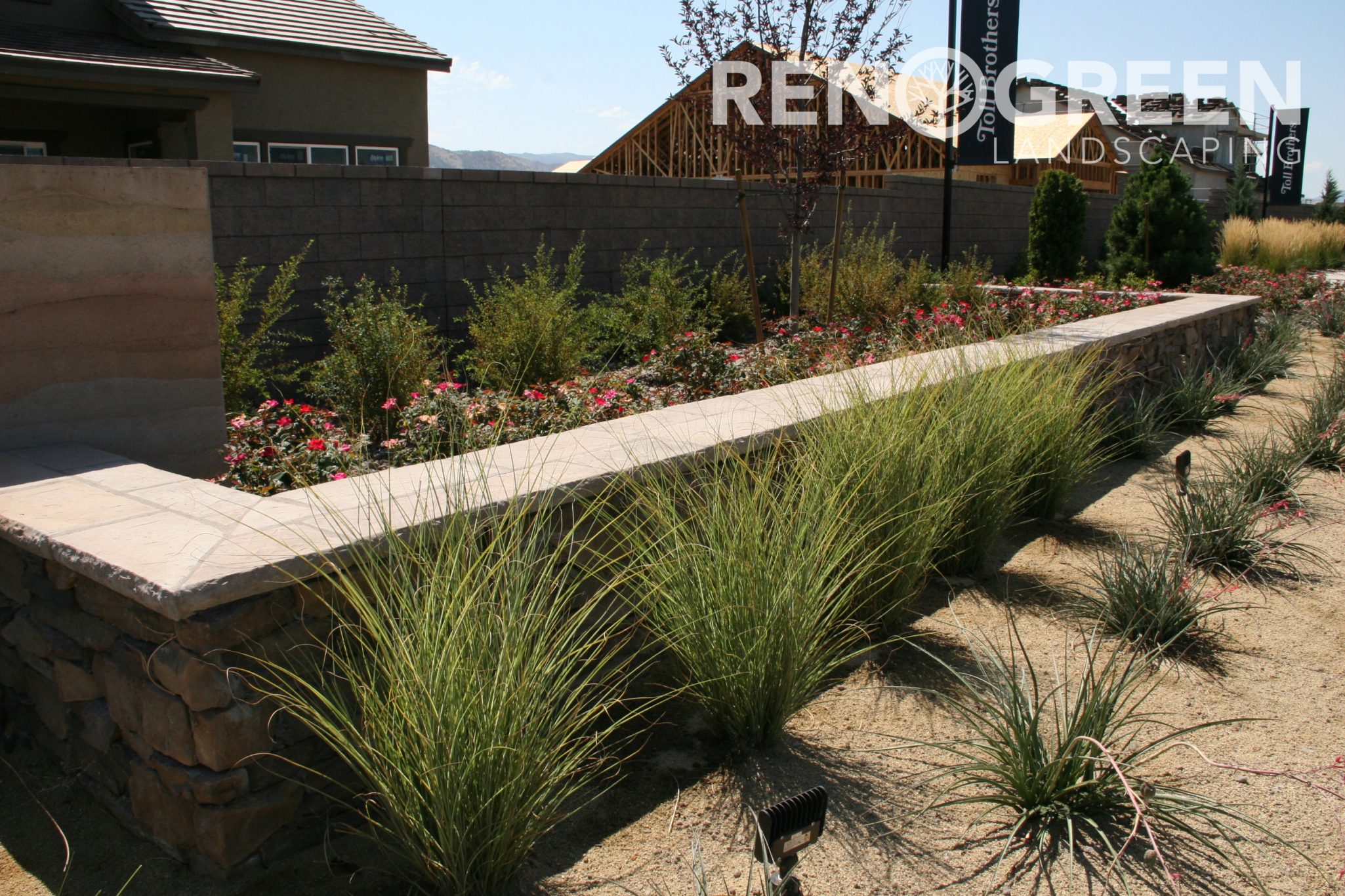 planter bed grasses