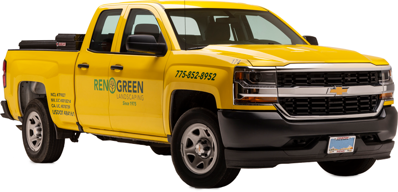 Reno Green Truck