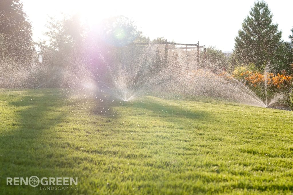 Irrigation system lawn care