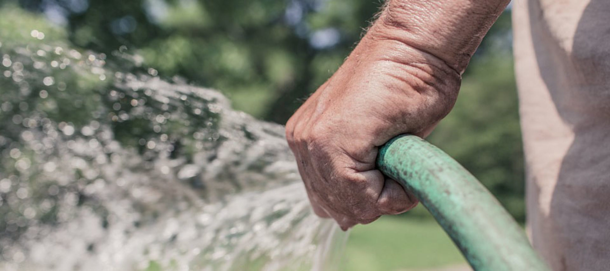 hand watering