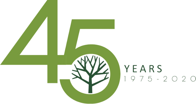 reno green 45 years logo