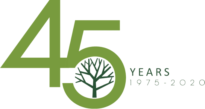 45 years logo