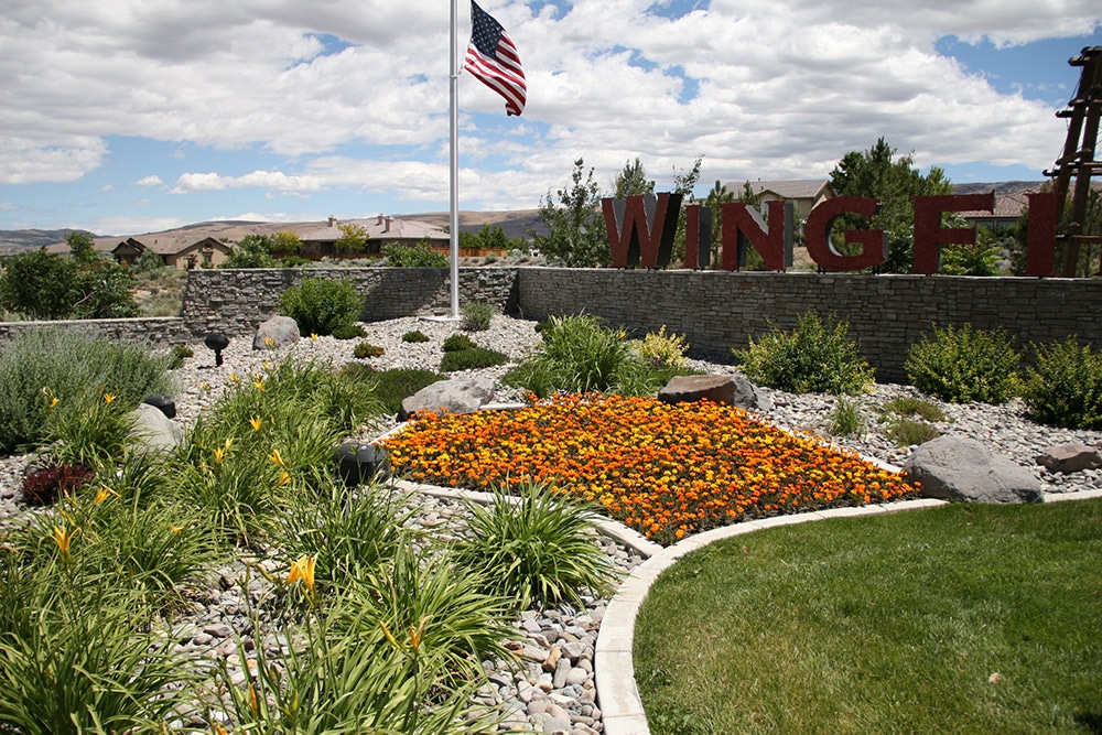 scape with daylilies at wingfield