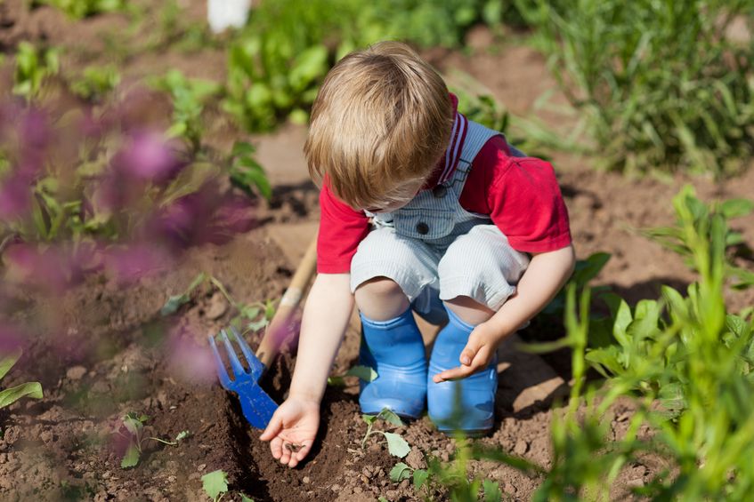 gardening with kids during covid 19