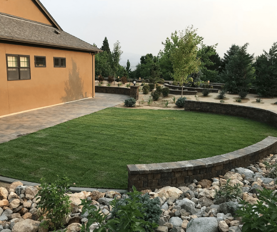 sod turfgrass lawn landscape