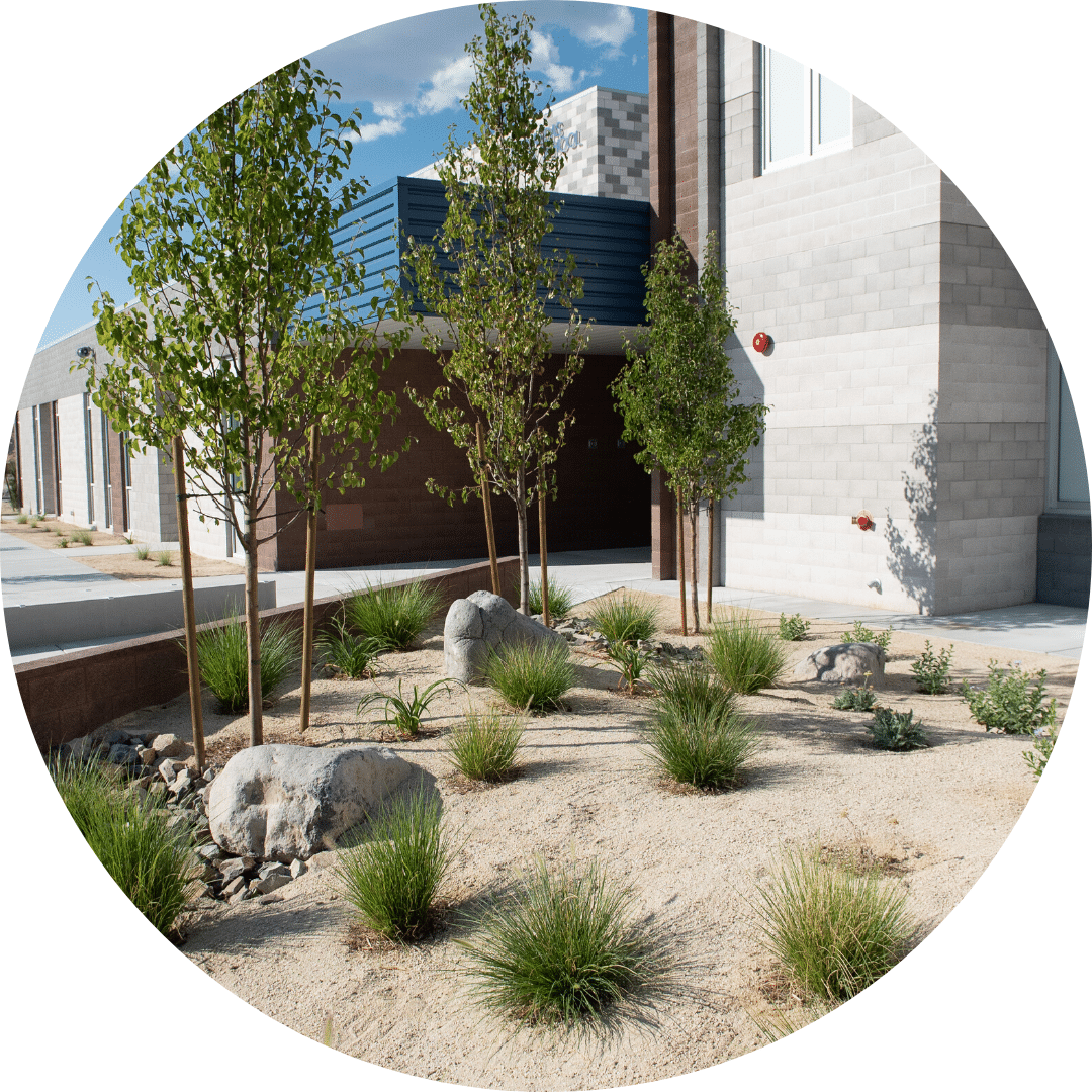 xeriscaping low water landscape