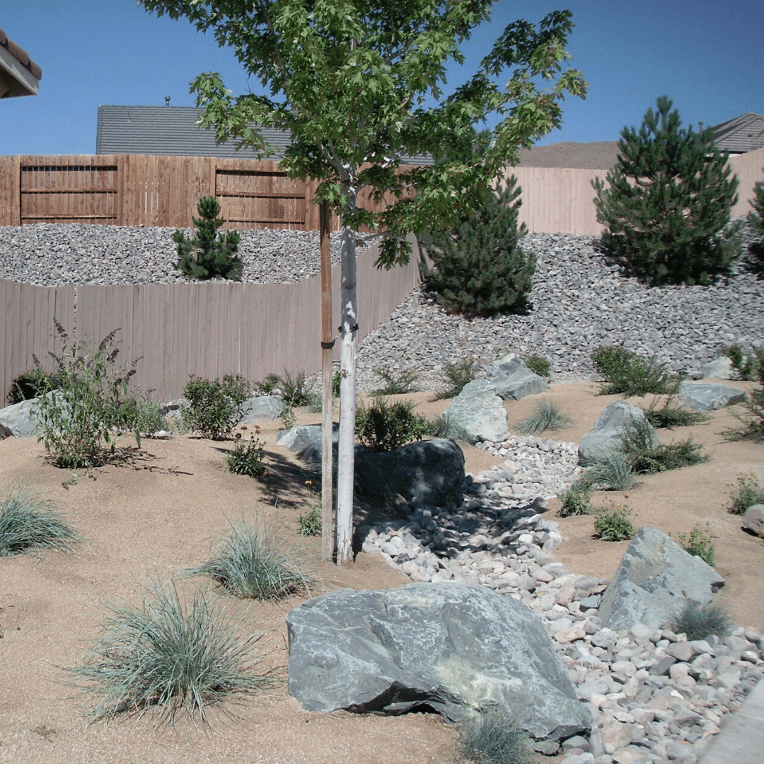 dry creek bed xeriscape