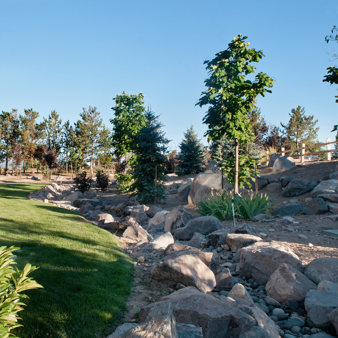 dry creek bed lawn