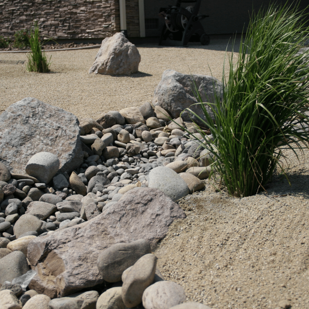 xeriscape dry creed bed