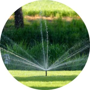 water efficient irrigation