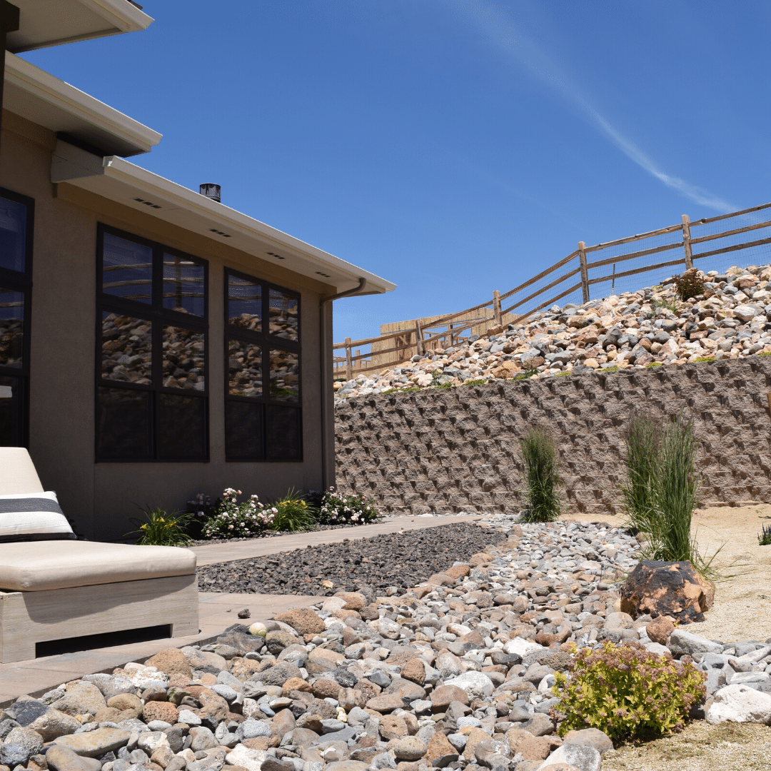 xeriscape landscape backyard