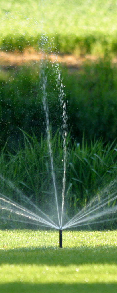 irrigation