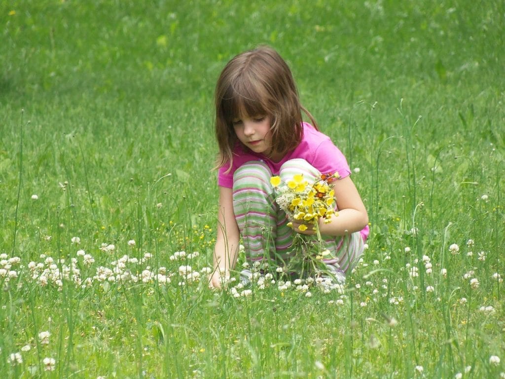 child picking flowers