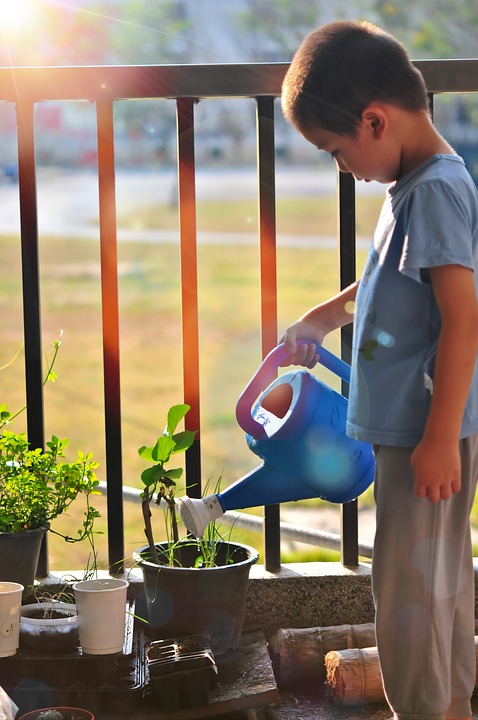 child watering plants