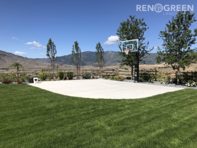 Sod Installation and Basketball Court