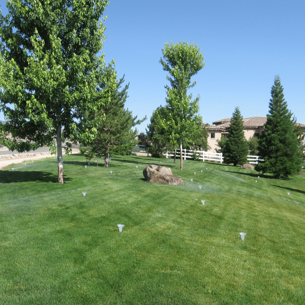 irrigation audit