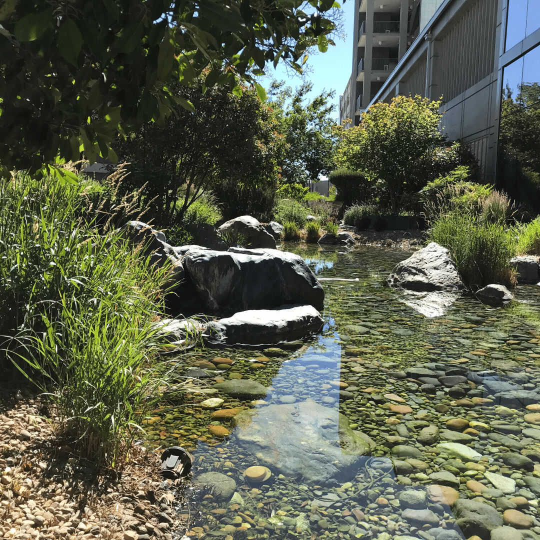 Rock-Scapes: Pools, Ponds, Waterfalls, Retaining Walls