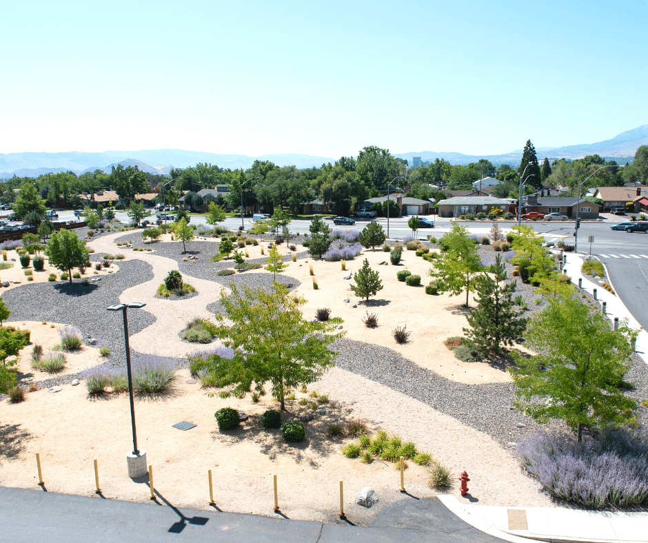 xeriscaping landscape design