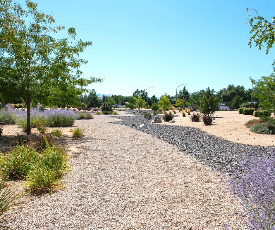 low maintenance low water landscaping xeriscapes