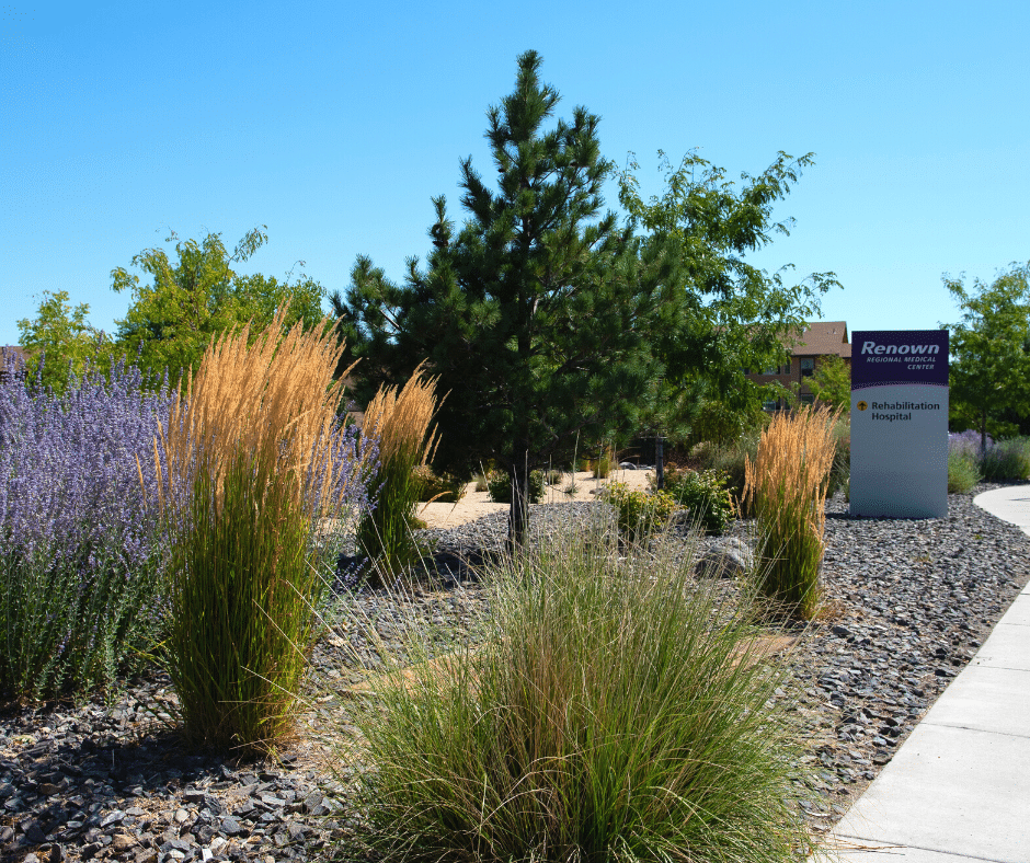 xeriscaping landscaping