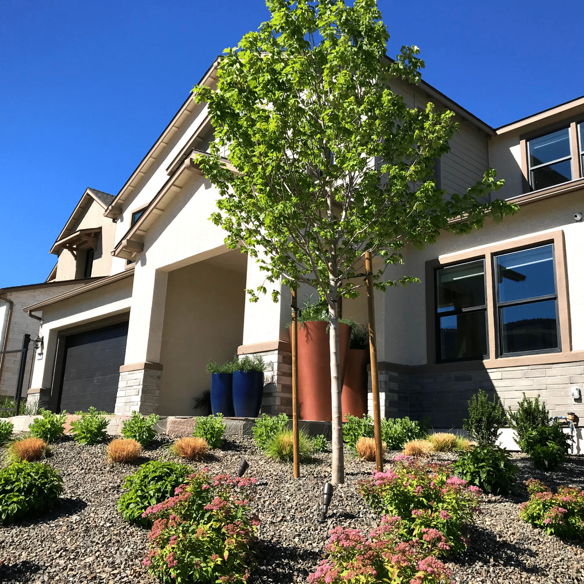 front yard landscape