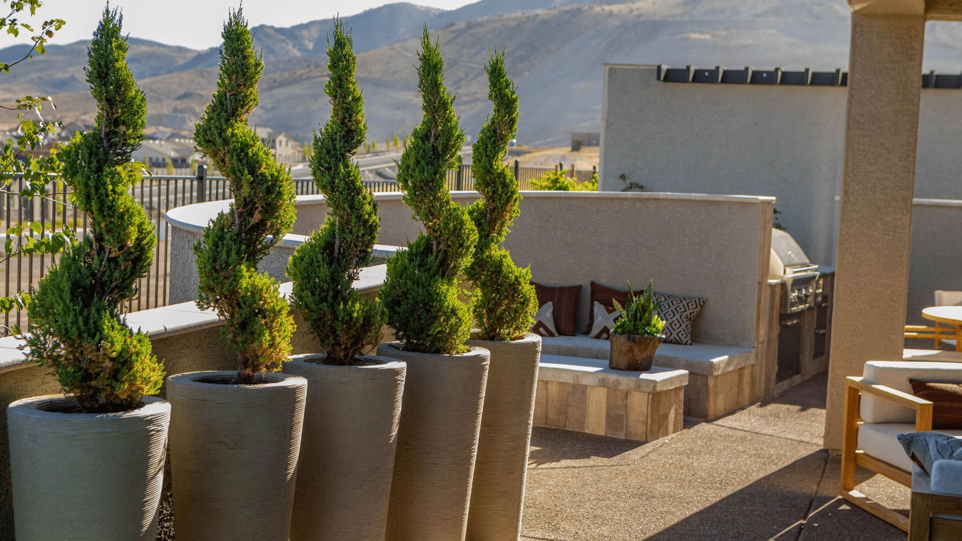 potted plants