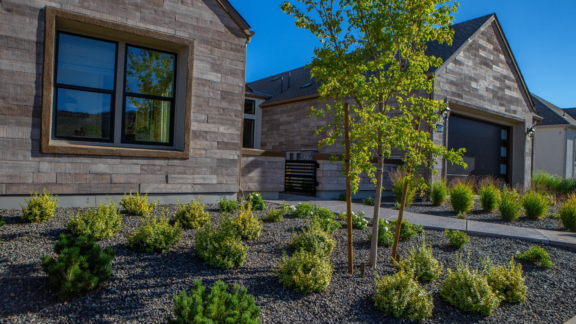 front yard plants