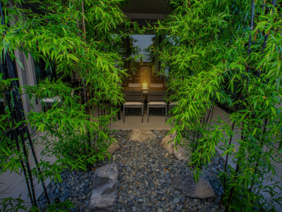 bamboo planter