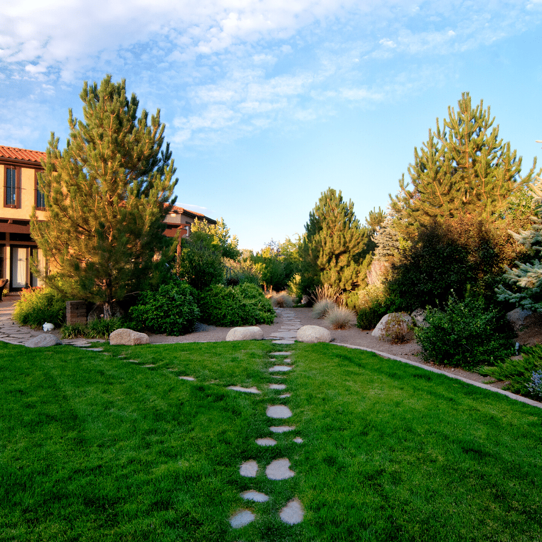 flagstone in turfgrass