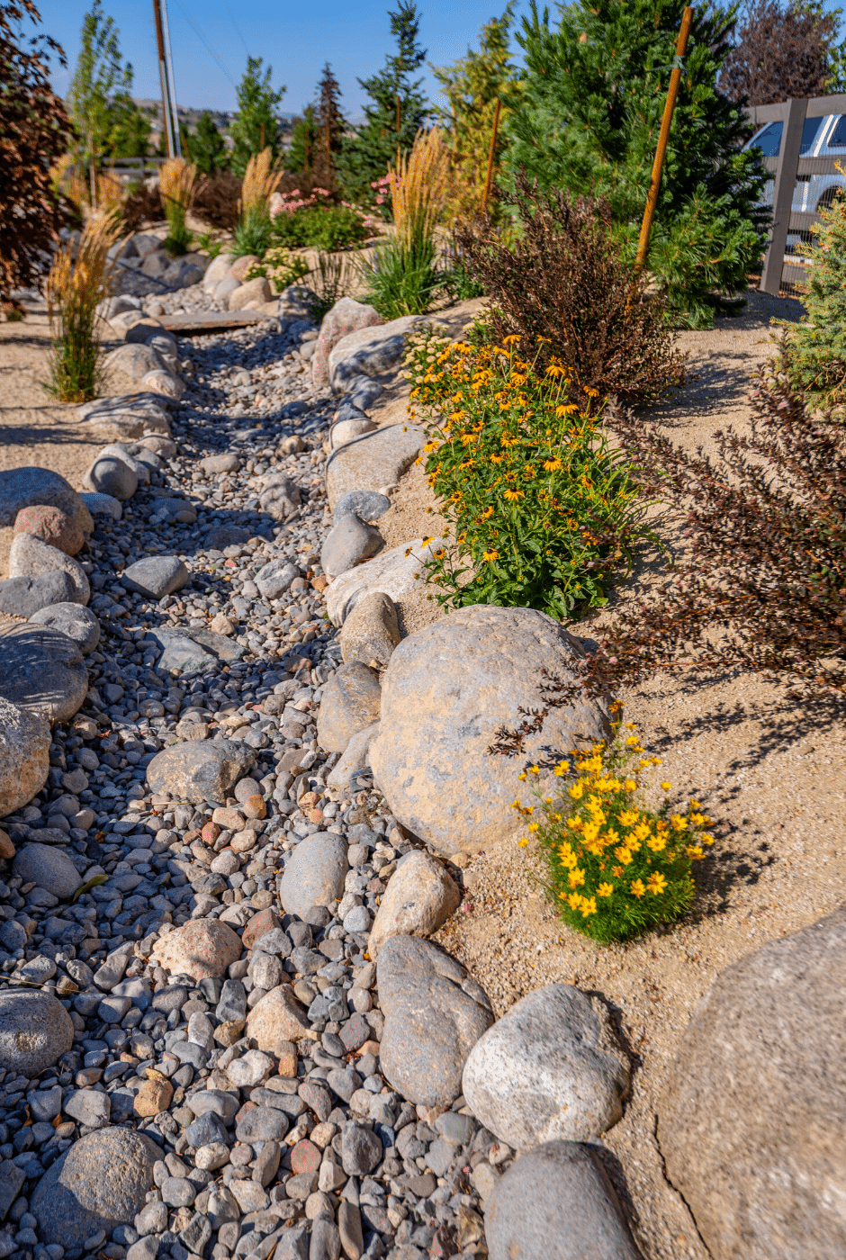 landscape design dry creek bed xeriscaping