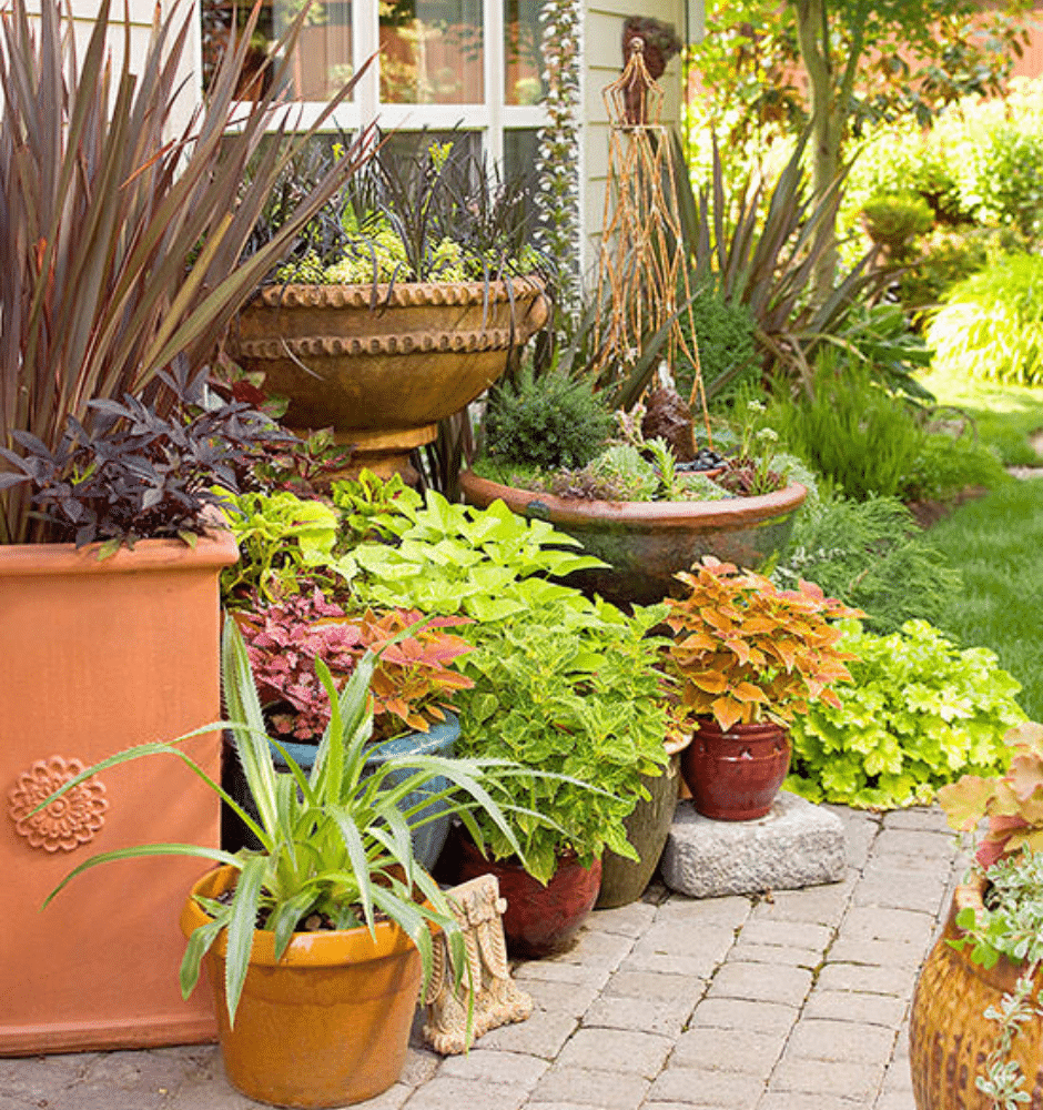 how to pot plants in containers backyard containers