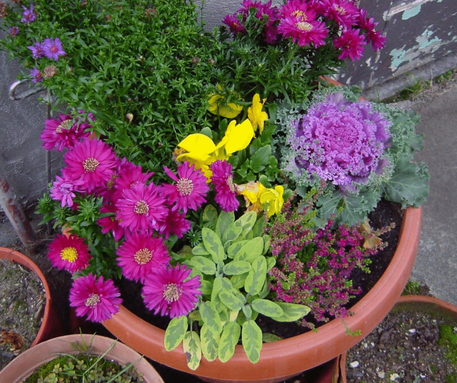 fall container plants Garden containers for every season