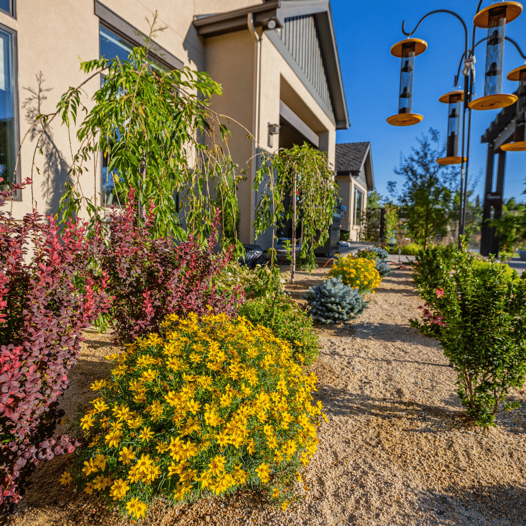 residential landscape installation