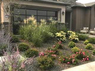 front yard design