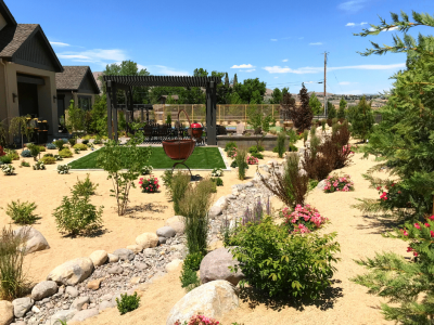 xeriscaping in nevada