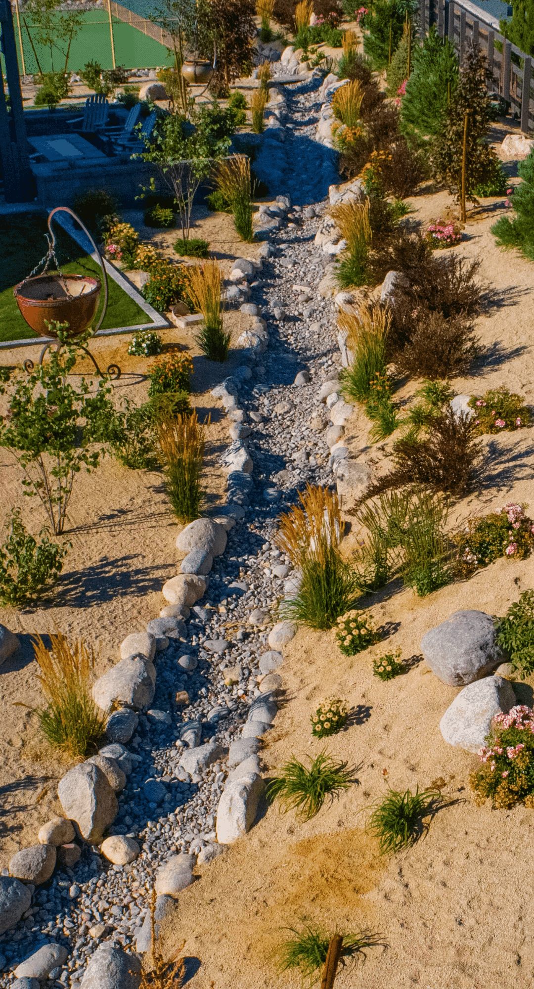 dry creek bed xeriscape