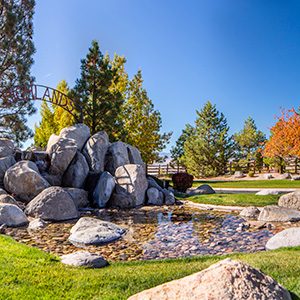 commercial landscape maintenance in reno